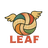 LEAF_VBCの写真