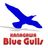 BlueGullsの写真